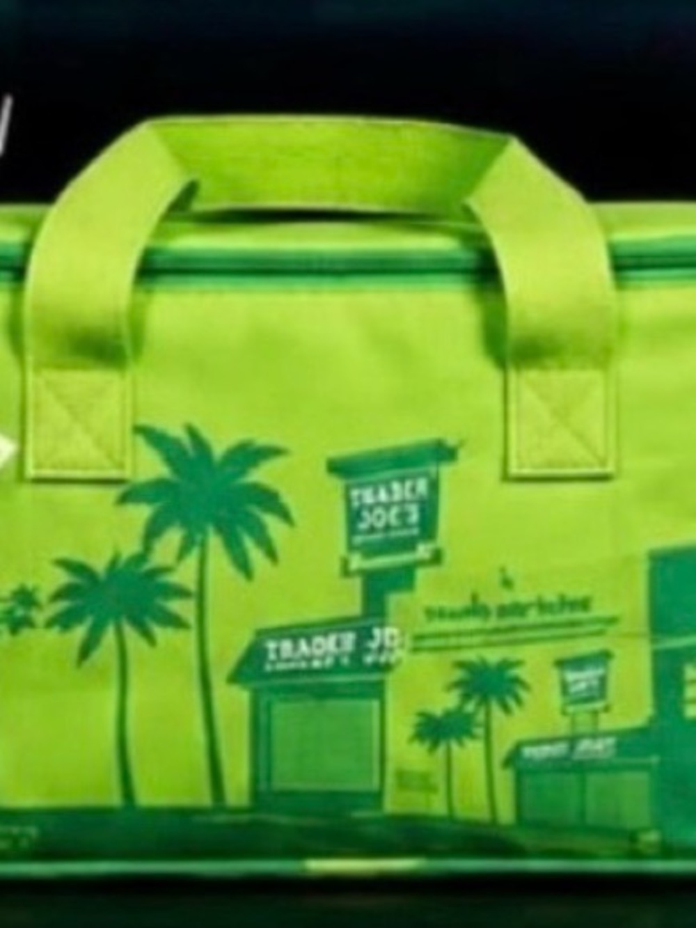 Trader Joe’s mini insulated tote